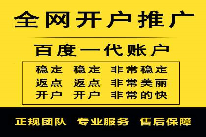 行业领先SEM托管代运营案例